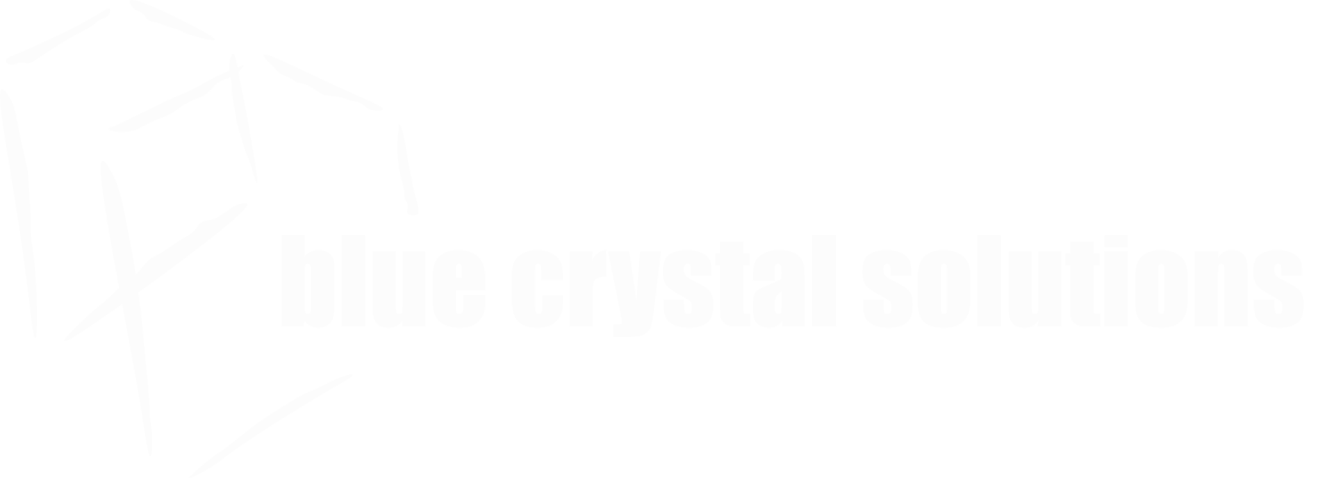 Blue Crystal Solutions logo