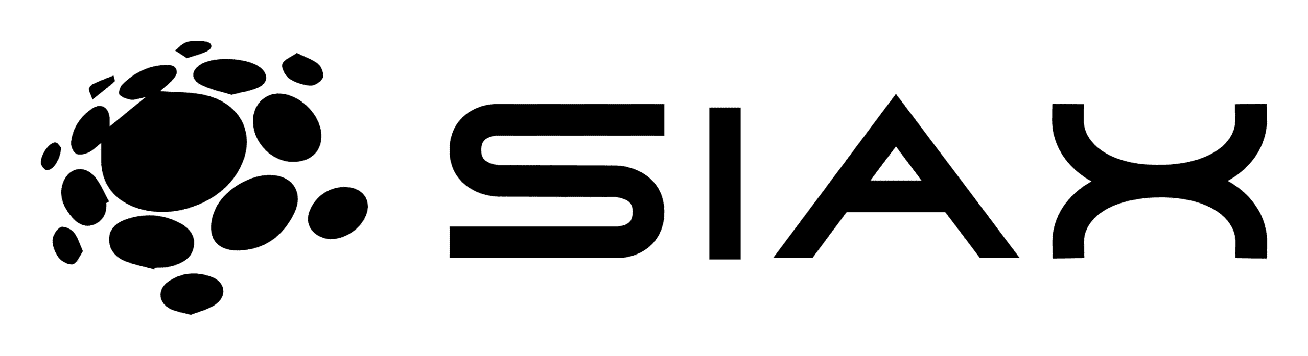 SIAX Computing Solutions logo